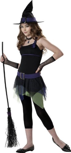 California Costumes Sassy Witch Costume,Black/Purple/Green,Large
