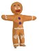 Shrek Gingerbread Man Costume