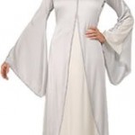 Arwen-Costume-Standard-Dress-Size-10-12-0-1